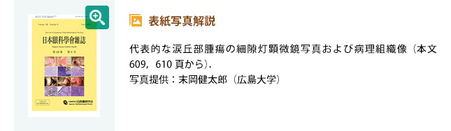 表紙写真解説