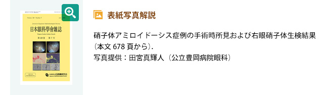 表紙写真解説