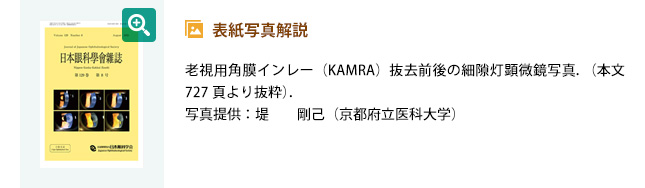 表紙写真解説