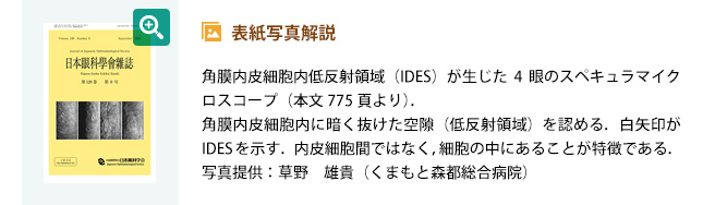 表紙写真解説