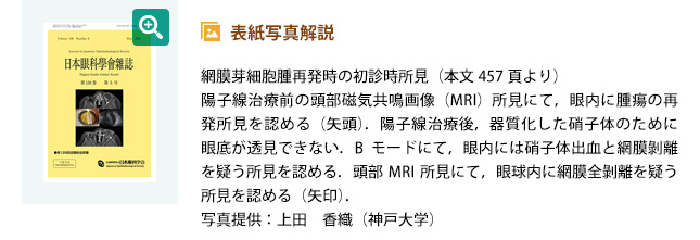 表紙写真解説