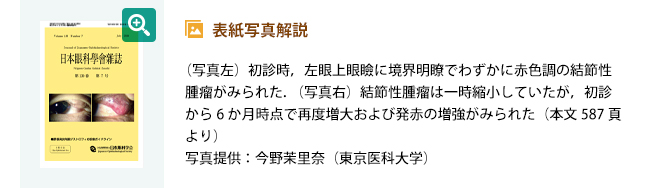 表紙写真解説