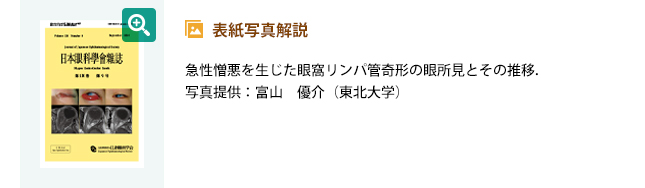 表紙写真解説
